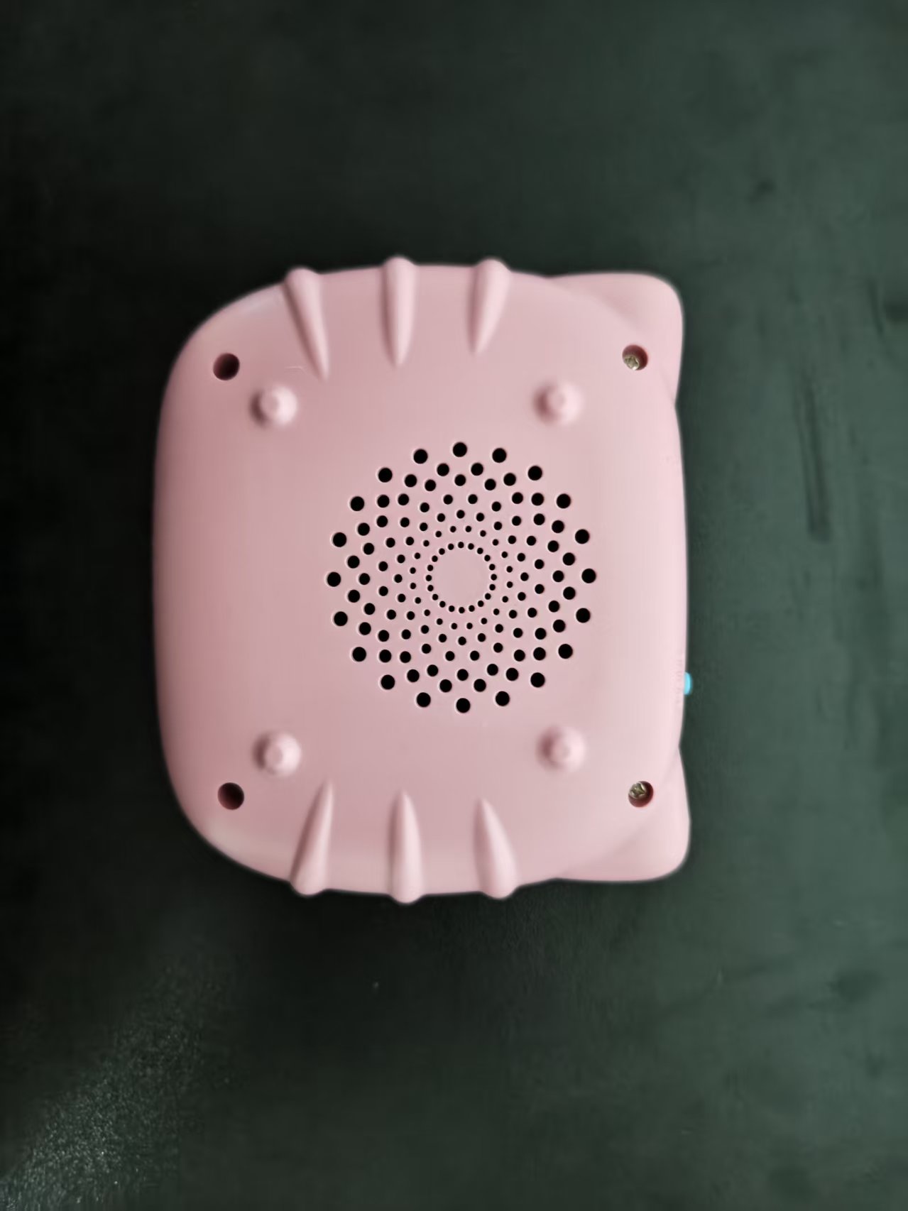 BearBoo Flash Card Reader, Kid - Kids Educational Reader 리뷰 및 가격